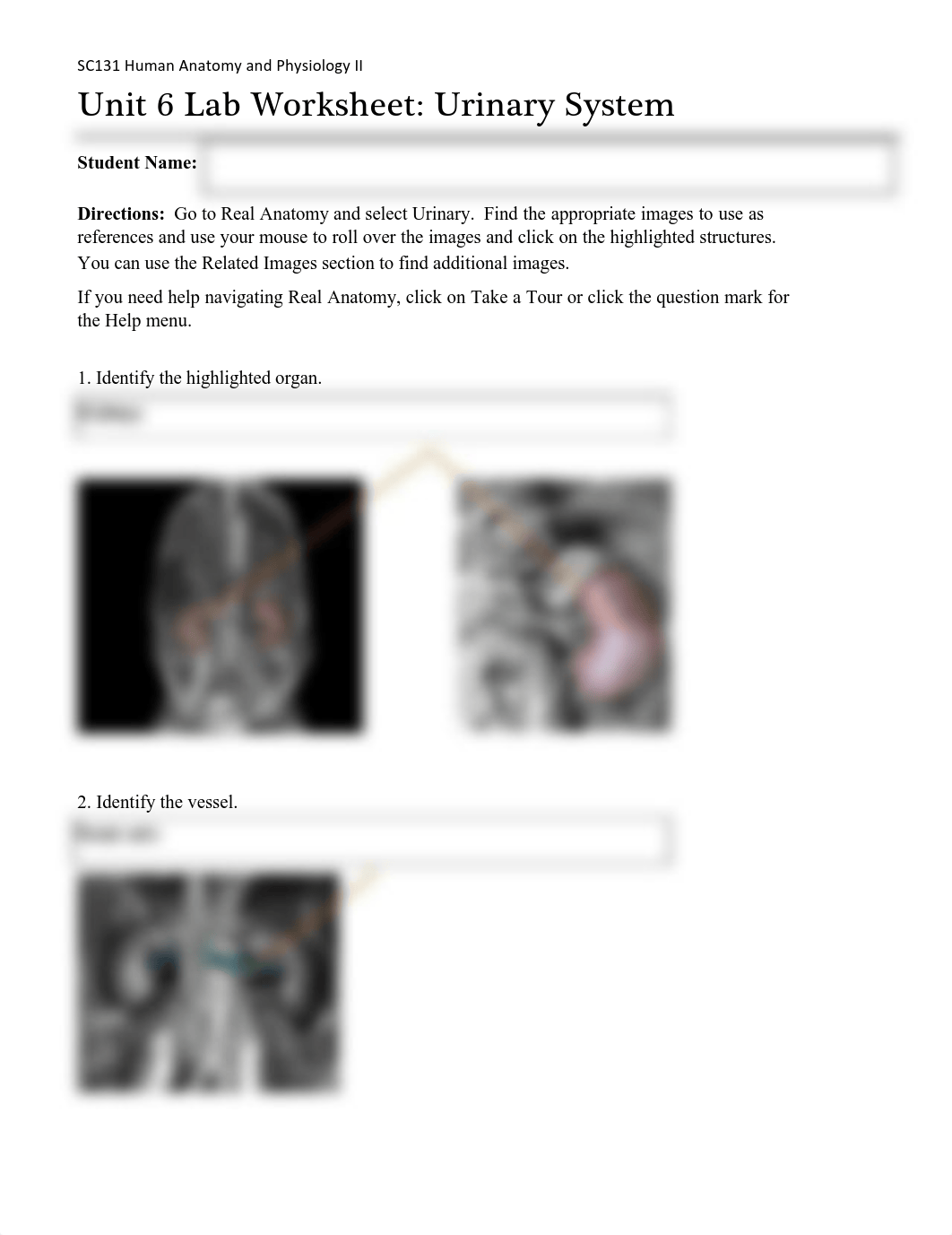 ErinMauneySC131Unit6Assignment-urinary_djx6axpe7k8_page1