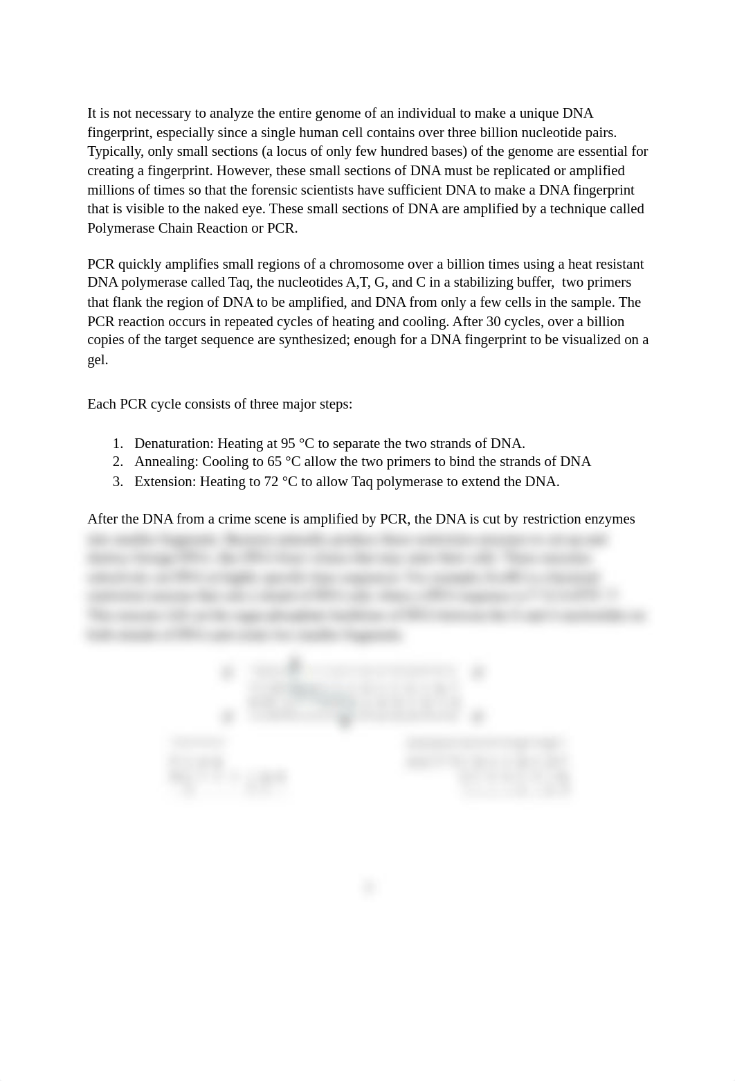 11 BIO 100 DNA Fingerprinting.docx_djx8yjcuq46_page2