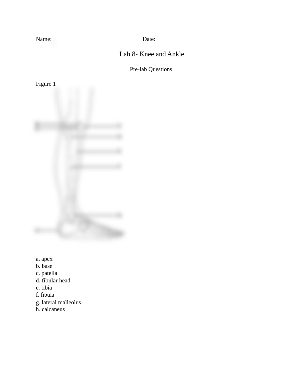 SPM 381- Lab 8- Knee.docx_djxa6m9yayr_page1