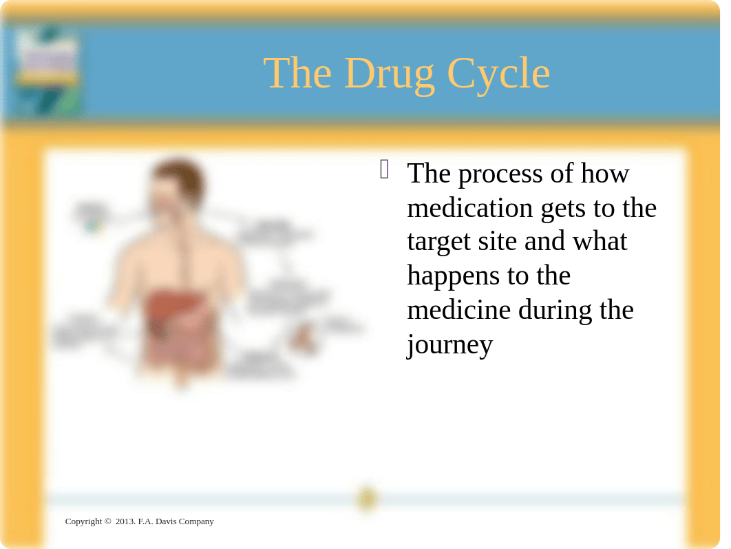 Chapter_002 Pharmacolgy PP.ppt_djxb8jaedpd_page4