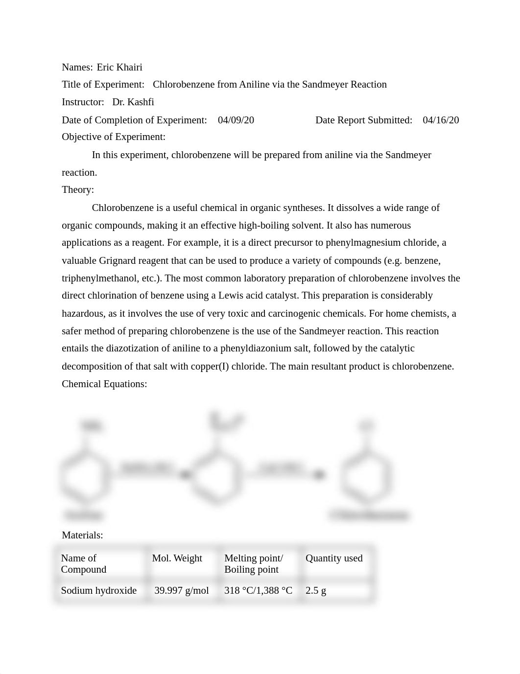 Sandemeyer.docx_djxdd3frpnq_page1