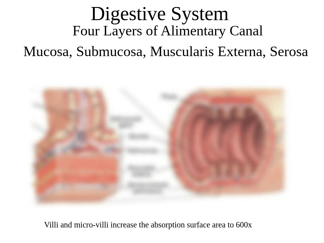 Hostos_AP2Lab_Lab 3 (1).pdf_djxetv124qi_page3