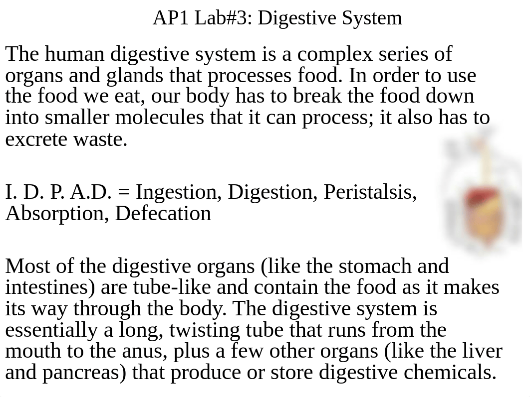 Hostos_AP2Lab_Lab 3 (1).pdf_djxetv124qi_page2