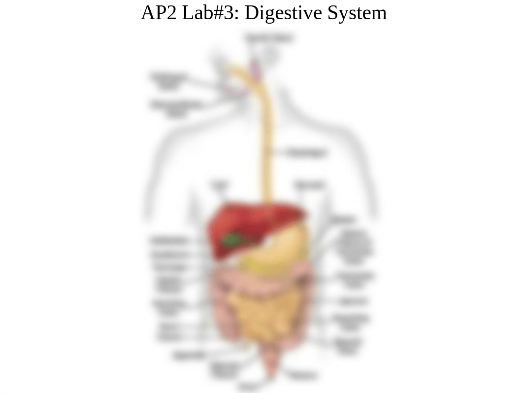 Hostos_AP2Lab_Lab 3 (1).pdf_djxetv124qi_page1