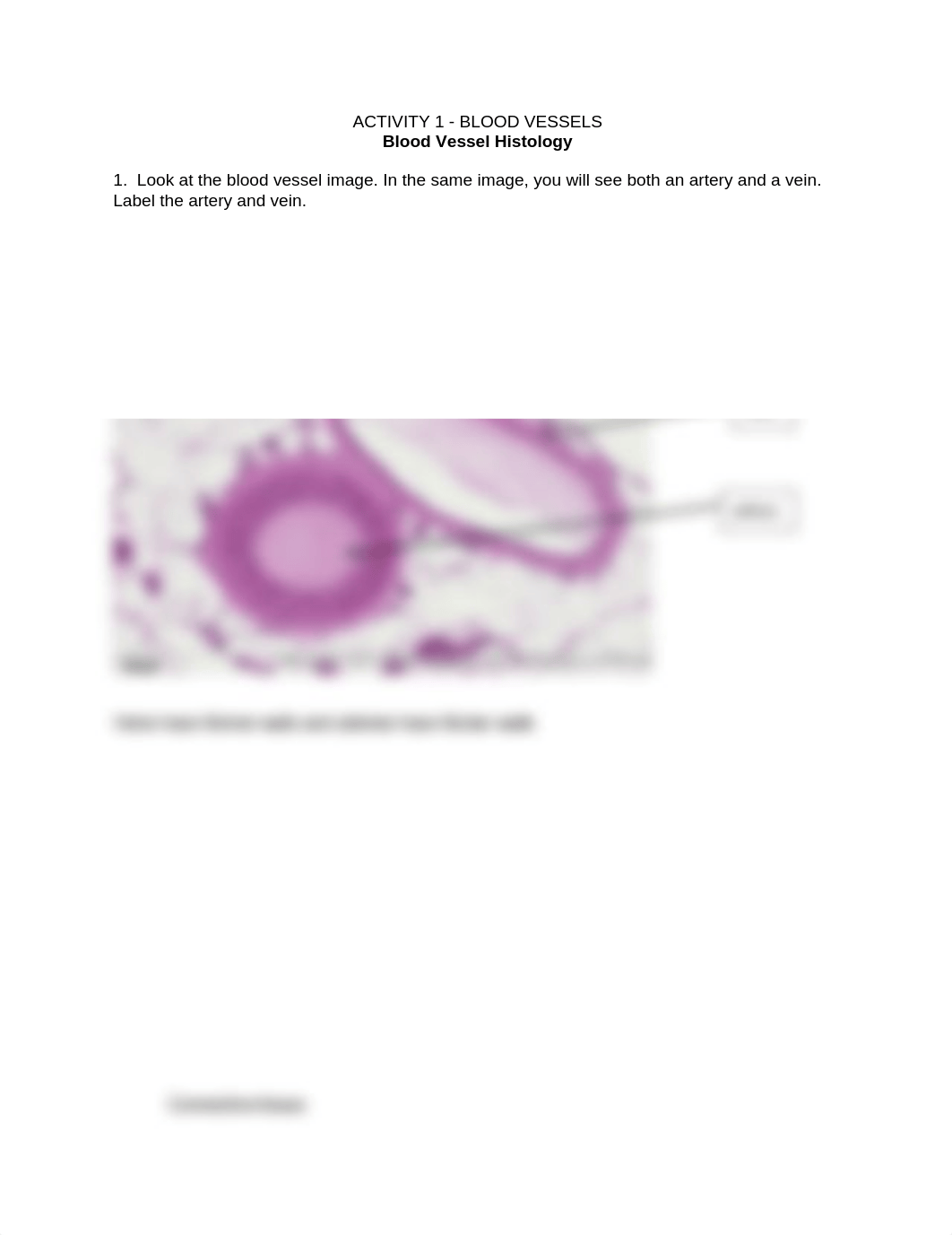 Bio 114 Online Lab 6 Activity Packet (1).docx_djxevxup3xy_page1