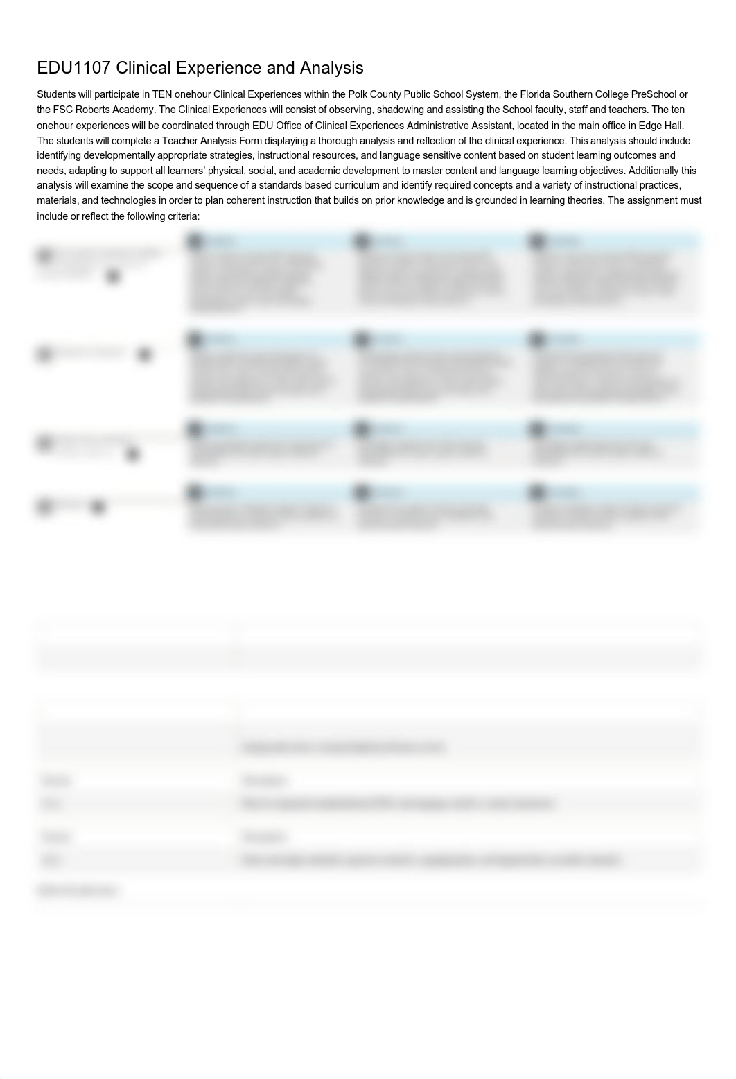 Clinical Experience and Analysis RUBRICK_djxmte22fjm_page1