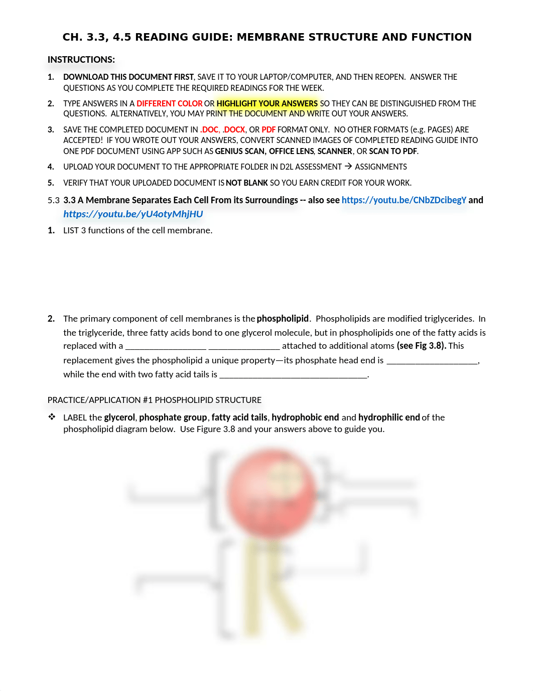 READING GUIDE--CH. 3.3, 4.5 MEMBRANE STRUCTURE & FUNCTION.docx_djxt0gsuyig_page1