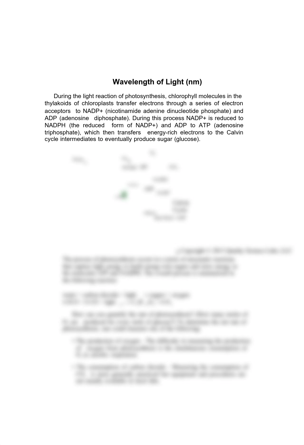 Lab 6.pdf_djxtmwgrh3t_page5