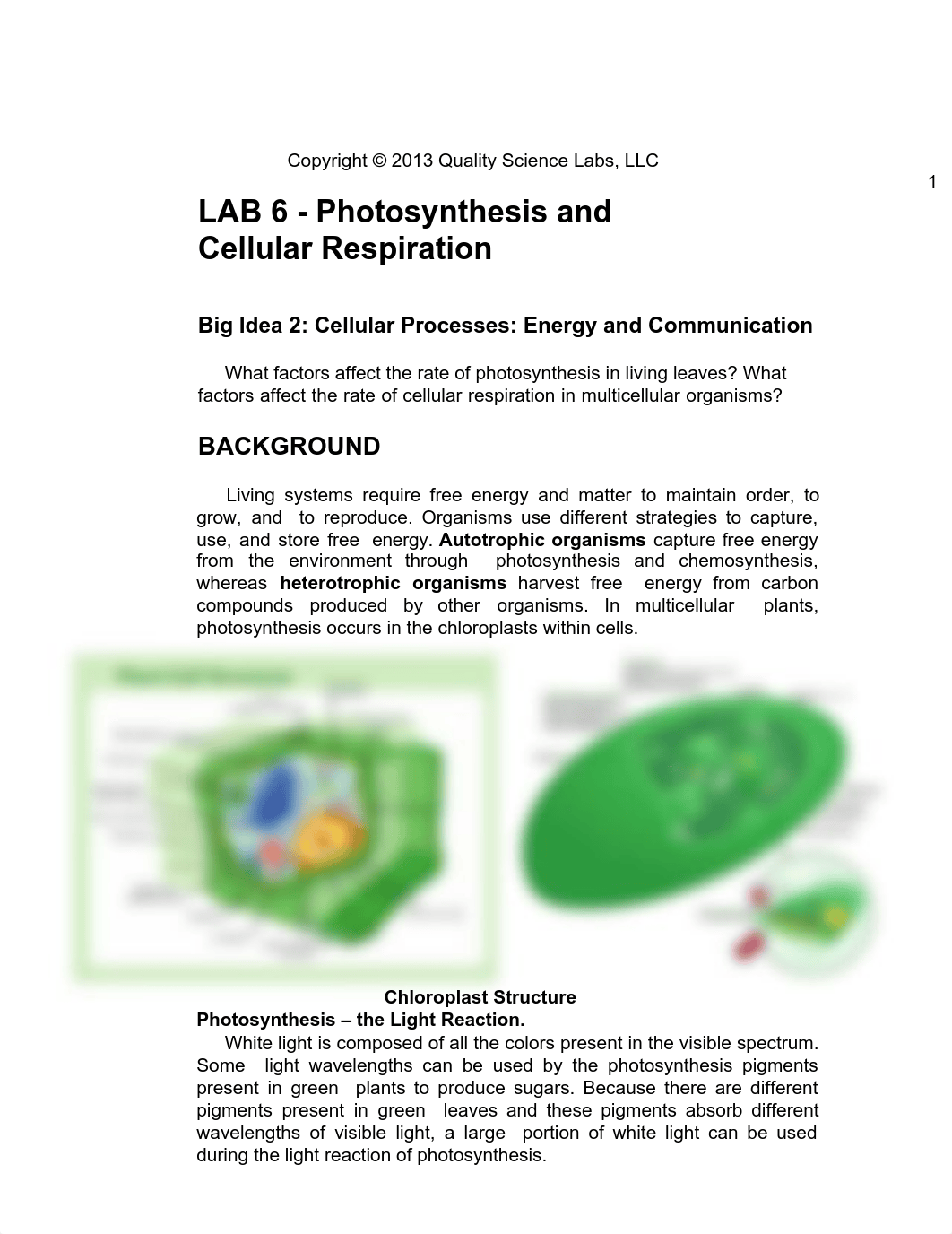 Lab 6.pdf_djxtmwgrh3t_page3