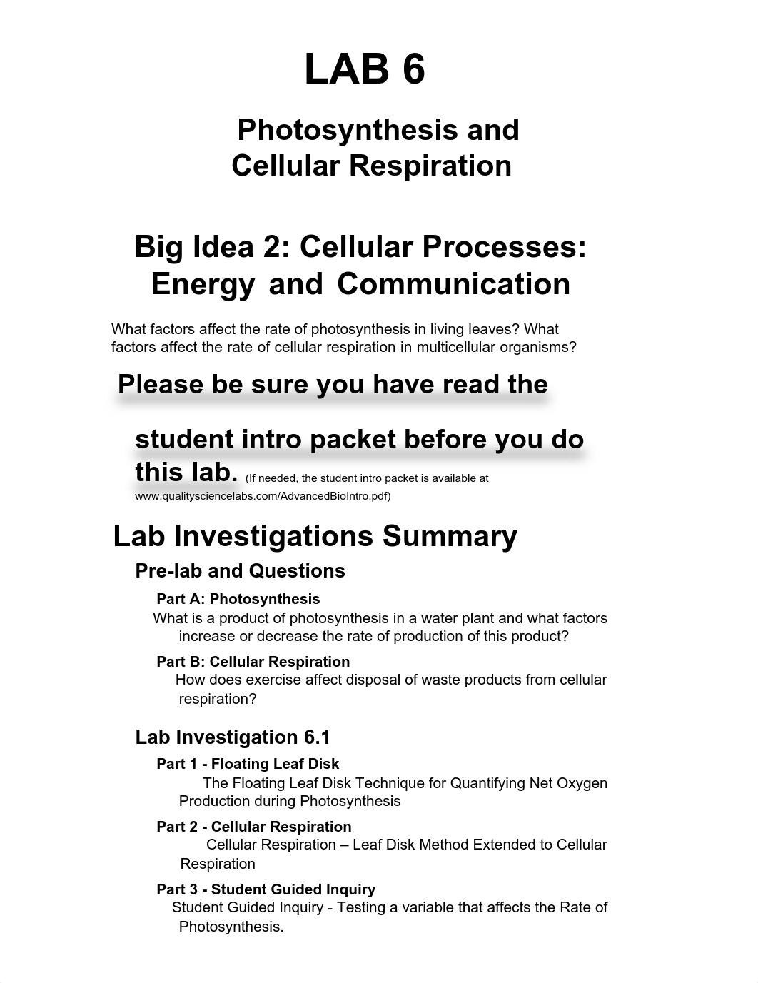 Lab 6.pdf_djxtmwgrh3t_page1