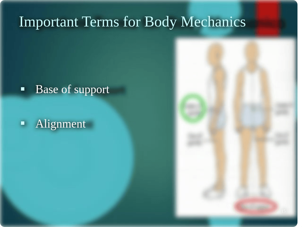 Chapter 8  Body Mechanics and  Patient Mobility 8.29.22.pdf_djxudzahtte_page3