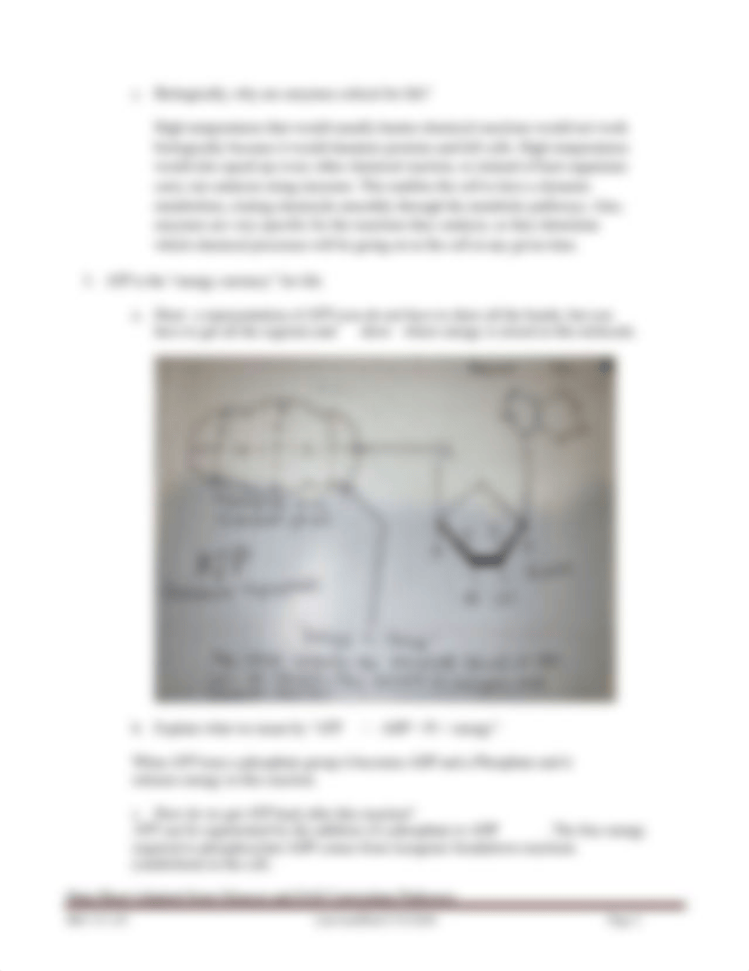 Module 5 Homework Data Sheet (1).docx_djxx09asows_page2