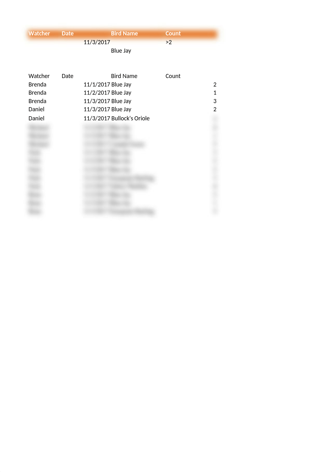 Bird Watchers.xlsx_djy3k6frb81_page2