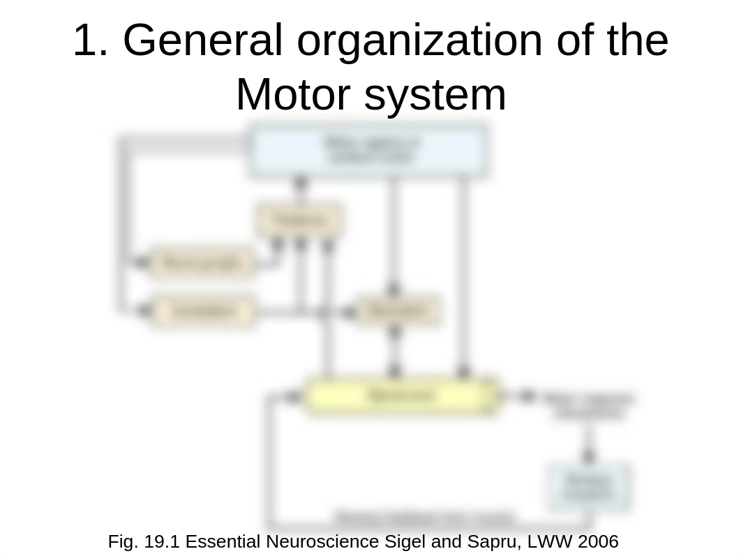 O'Donoghue.Introduction to Motor Systems.311_djya8asb9a4_page5