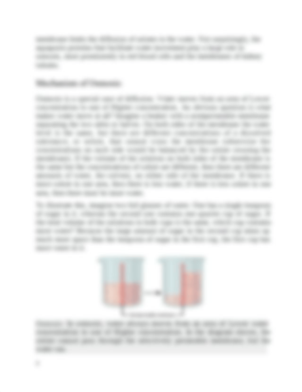 Transport across a Cell Membrane Passive Transport and Active.docx_djyj6pcxit0_page3