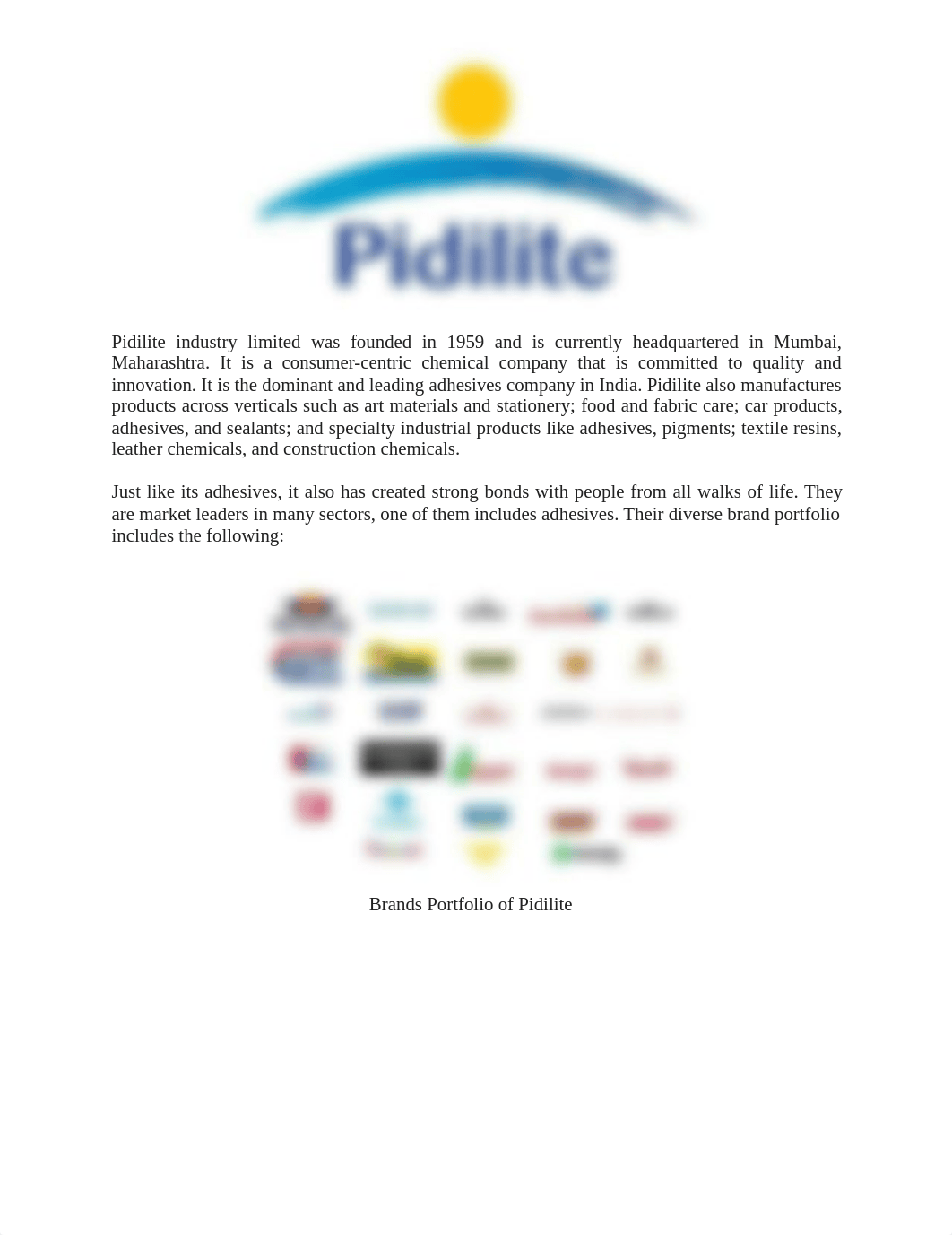 Pidilite-Analysis (2)[1].pdf_djymk1d4w6l_page1