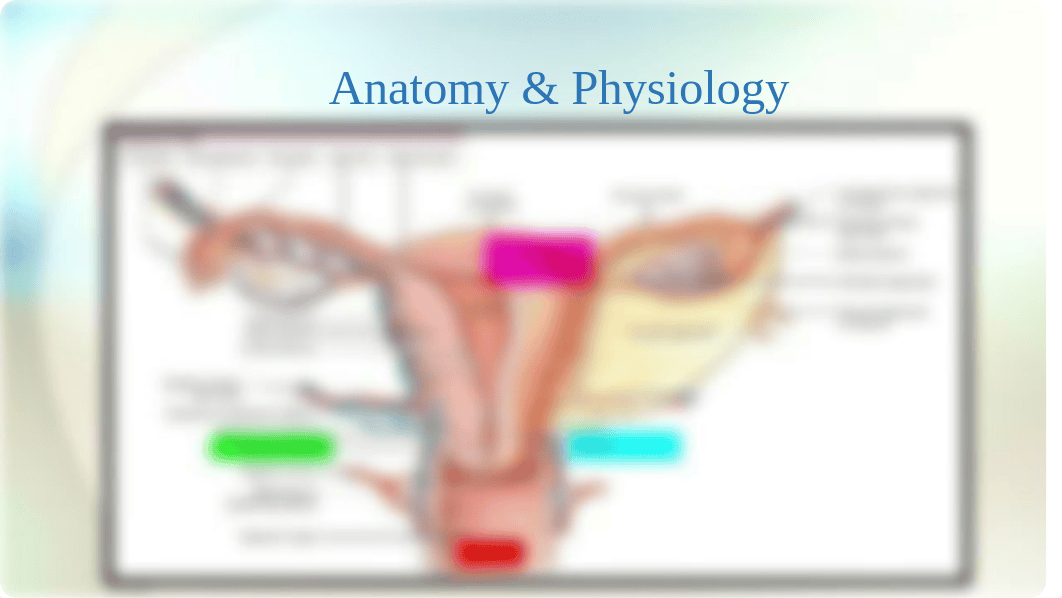 NUR 335 chapter 3 & 4 (Ant)(1)(1)(1).pptx_djyp7alf05t_page4