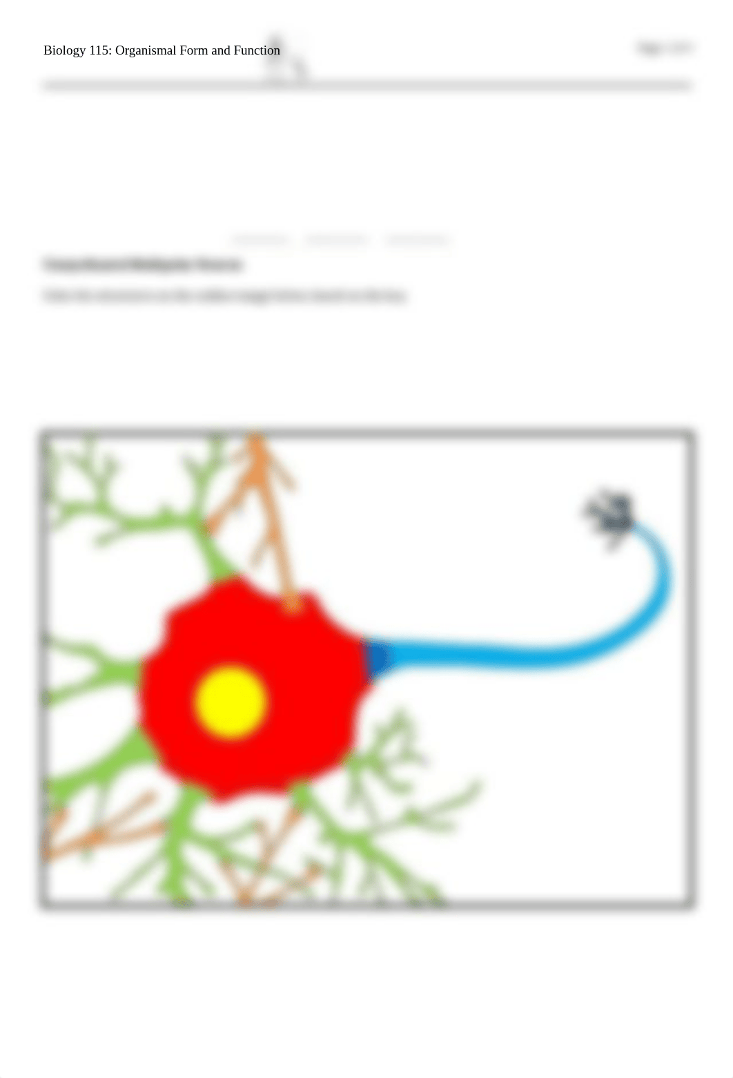 Bio 115-21 Neuron and Glia Drawings.docx_djyr0atqvp3_page1