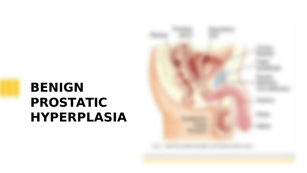 NUR 201 Benign Prostatic Hyperplasia .pptx_djyvfbo86wq_page1