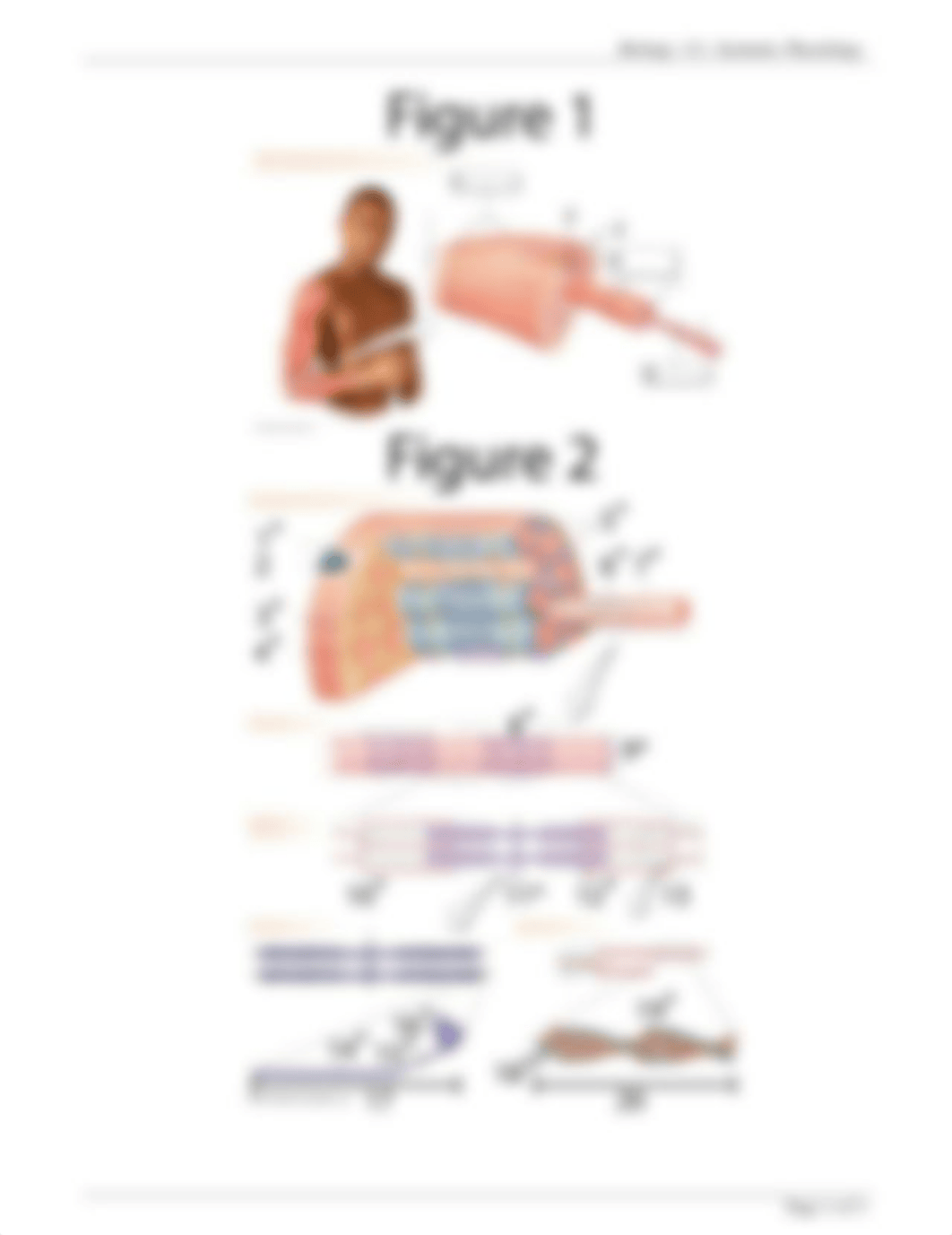 Problem Set 5 Spring 2022 Key.pdf_djyxuwvzhvw_page2