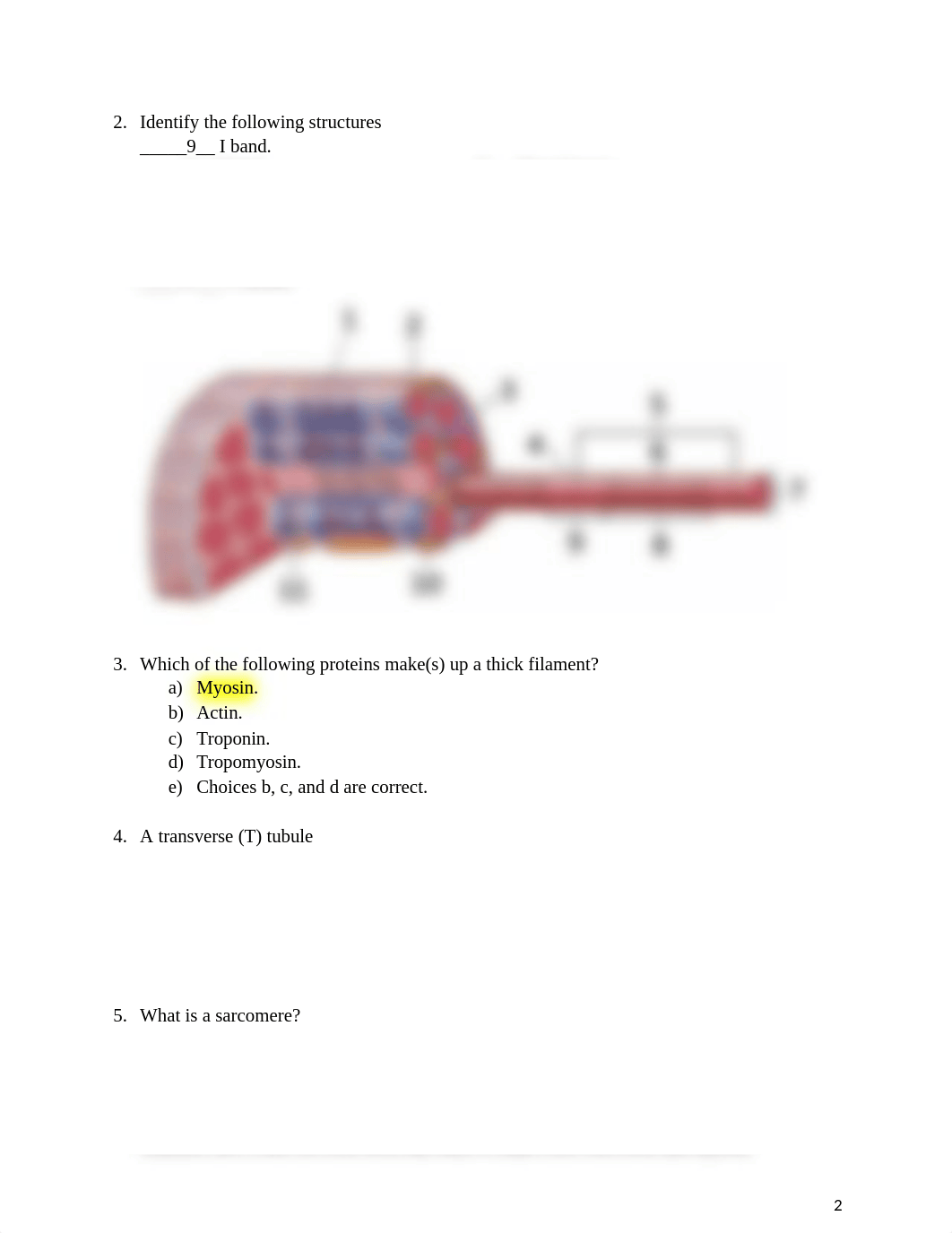 HW 11.docx_djyygj84w9r_page2