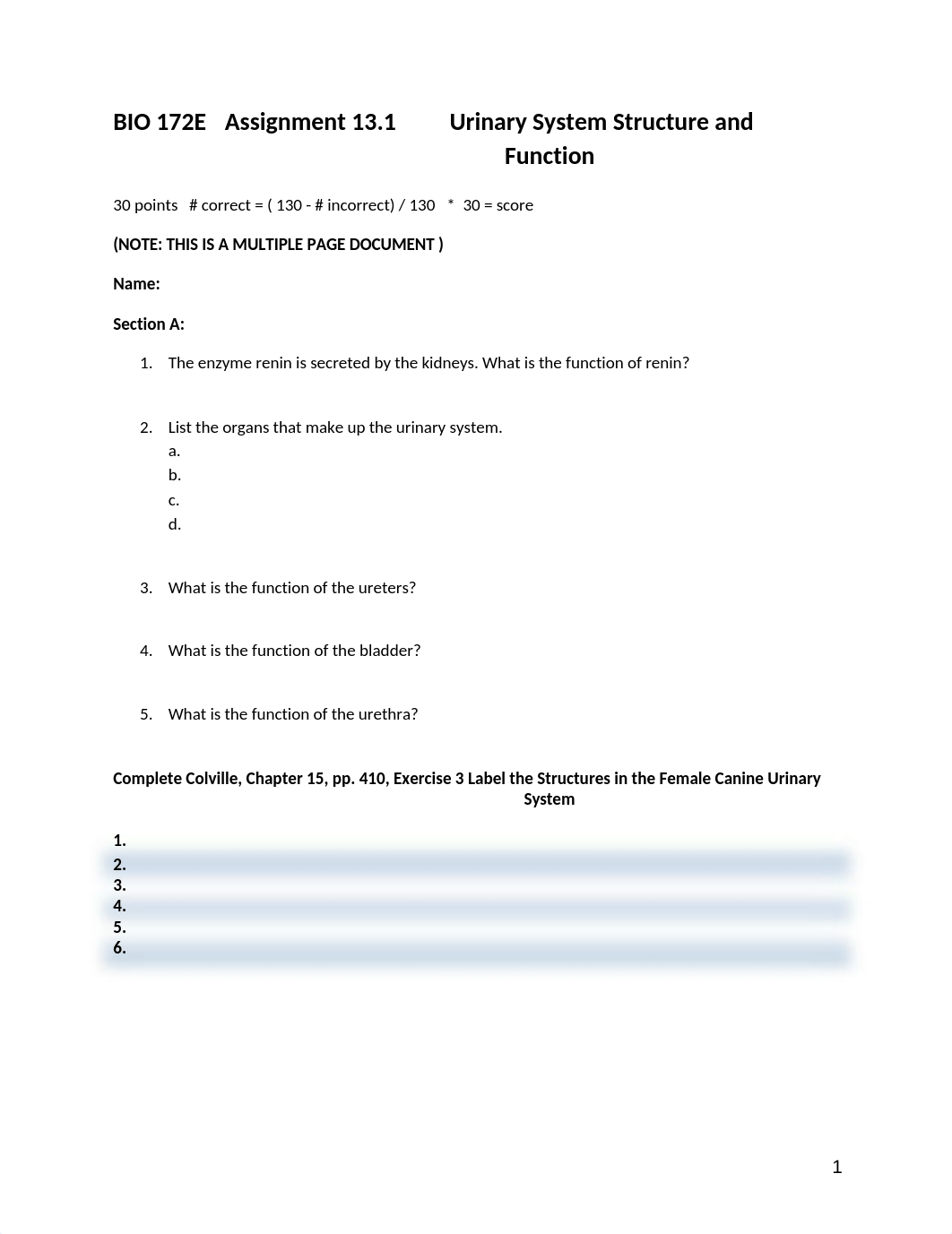 ASSN 13.1 Urinary System Structure and Function (1).docx_djz3tk0ubhl_page1