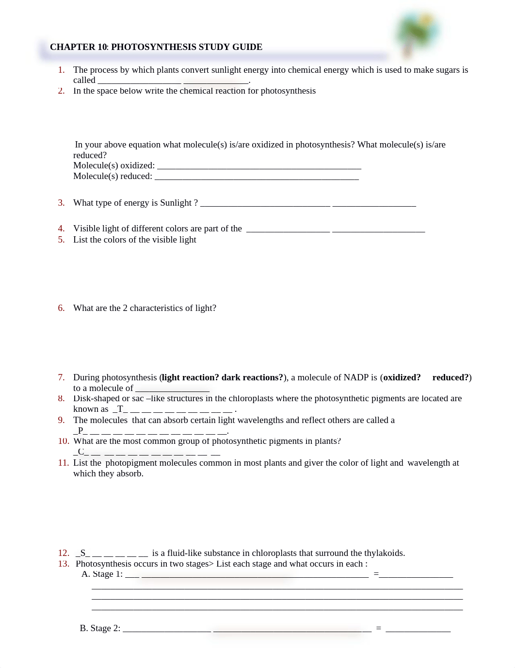 Ch 10 Study Guide worksheet.docx_djzcnpff5g2_page1