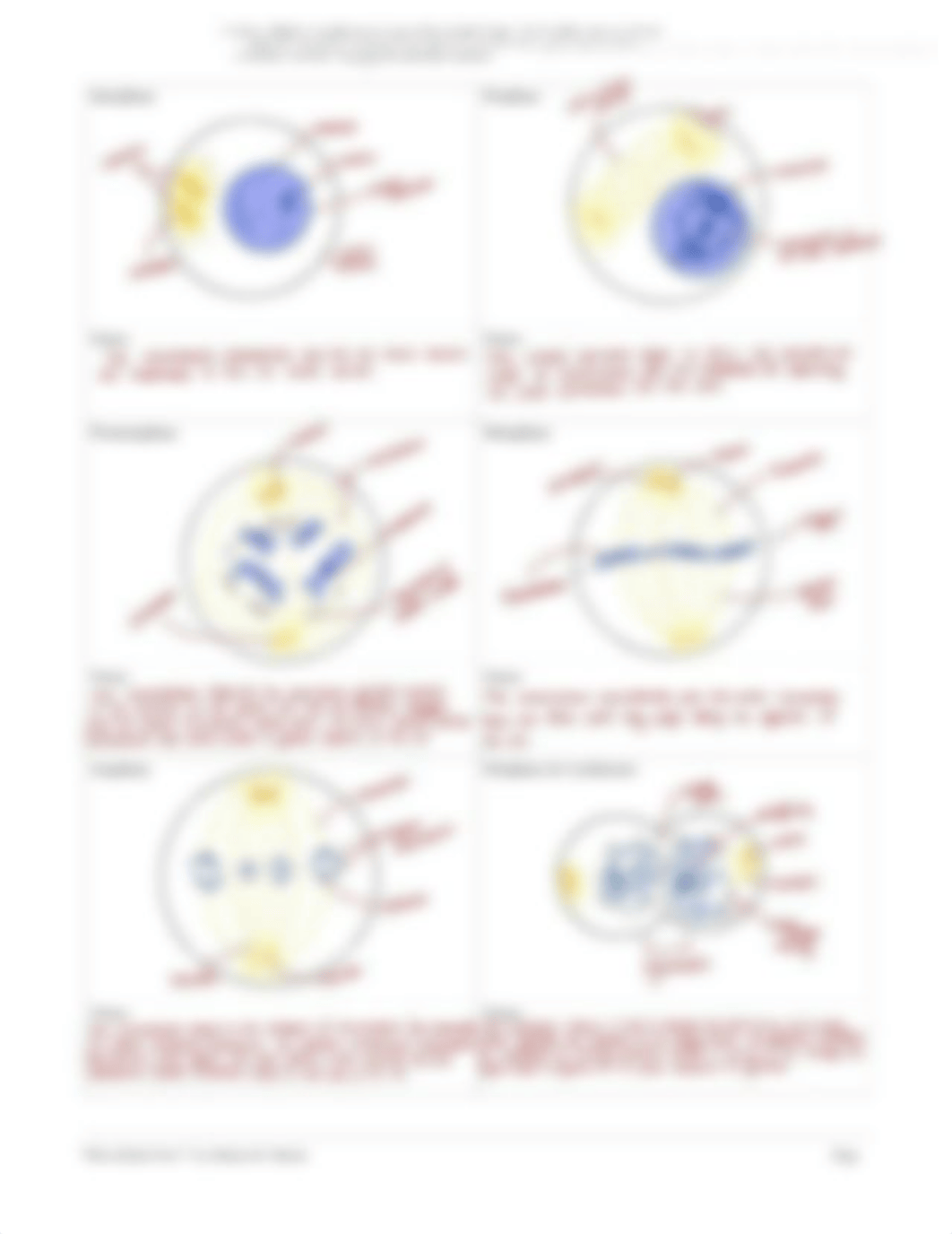 Case Study for Cell Cycle - Who Killed Yew Murder and Mitosis.pdf_djzesy57to7_page3