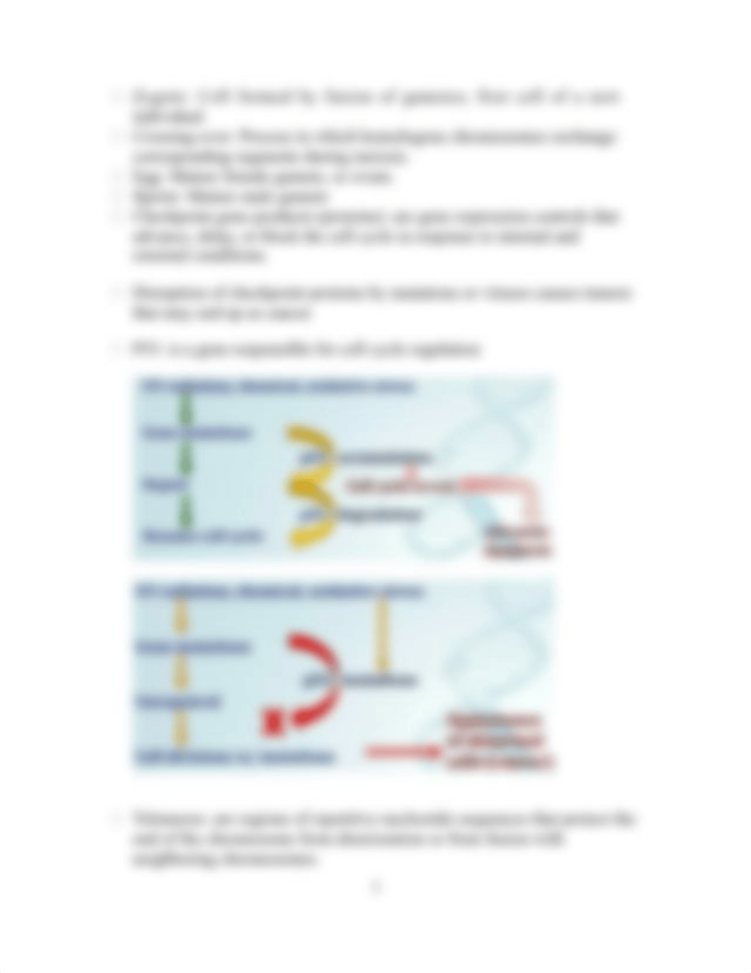 Exam 3 Study Guide.doc_djzisv7zrr7_page3