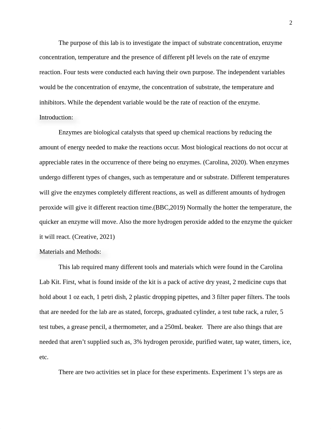 Lab Report 2.docx_djzk4blffmv_page2