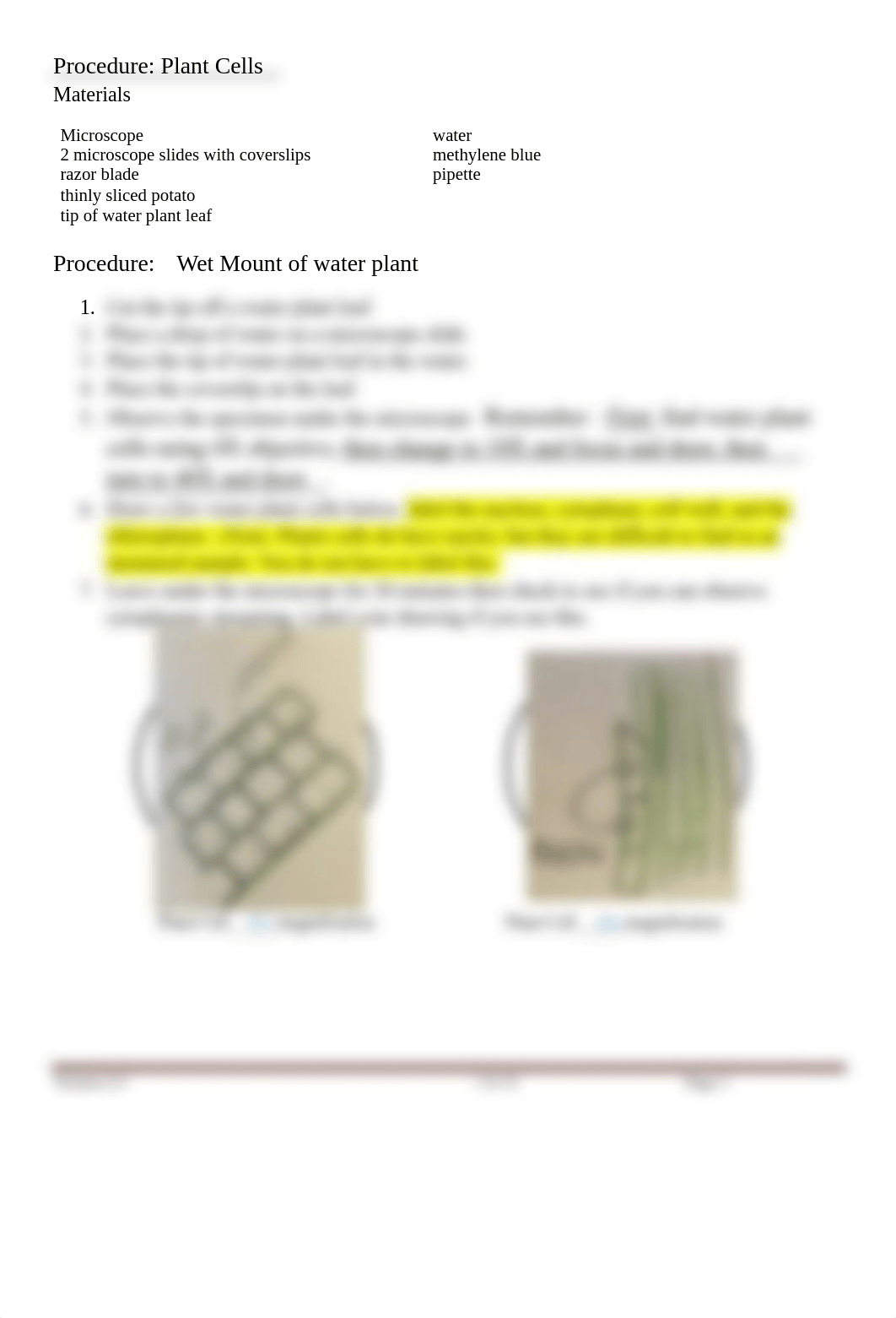 Lab4_Cells_Fall+2020+Frausto-edited.pdf_djznn4jn8go_page3