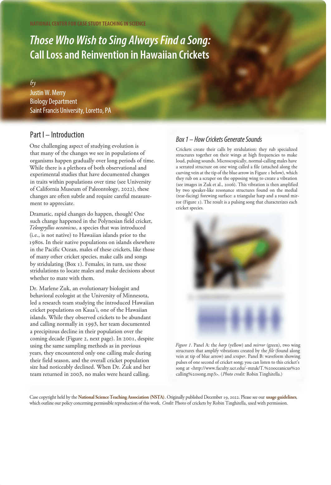 hawaiian_cricketse.pdf_djzvlk5bfxi_page1