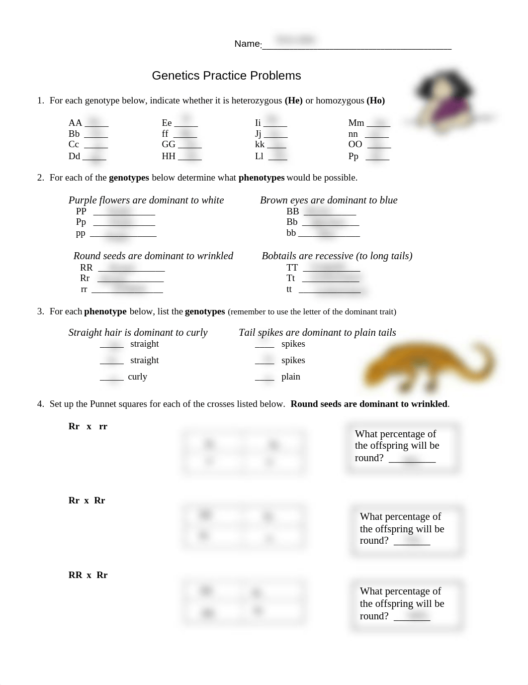 Kami Export - Leroy Anku - Genetics Practice Problems (simple).pdf_dk0ixop6jj5_page1