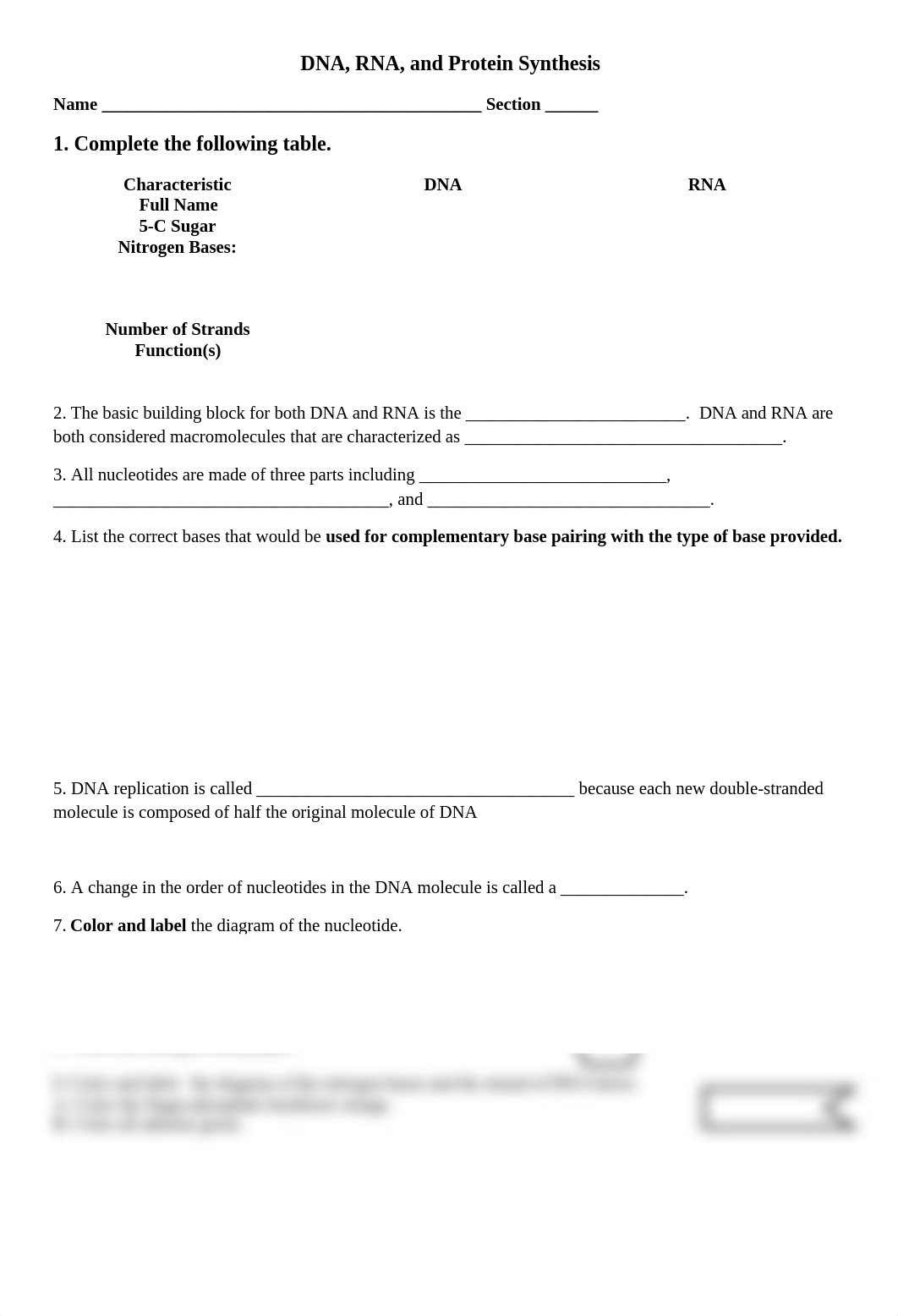 DNA Structure  Function Activity.docx_dk0r4jyoc8g_page1