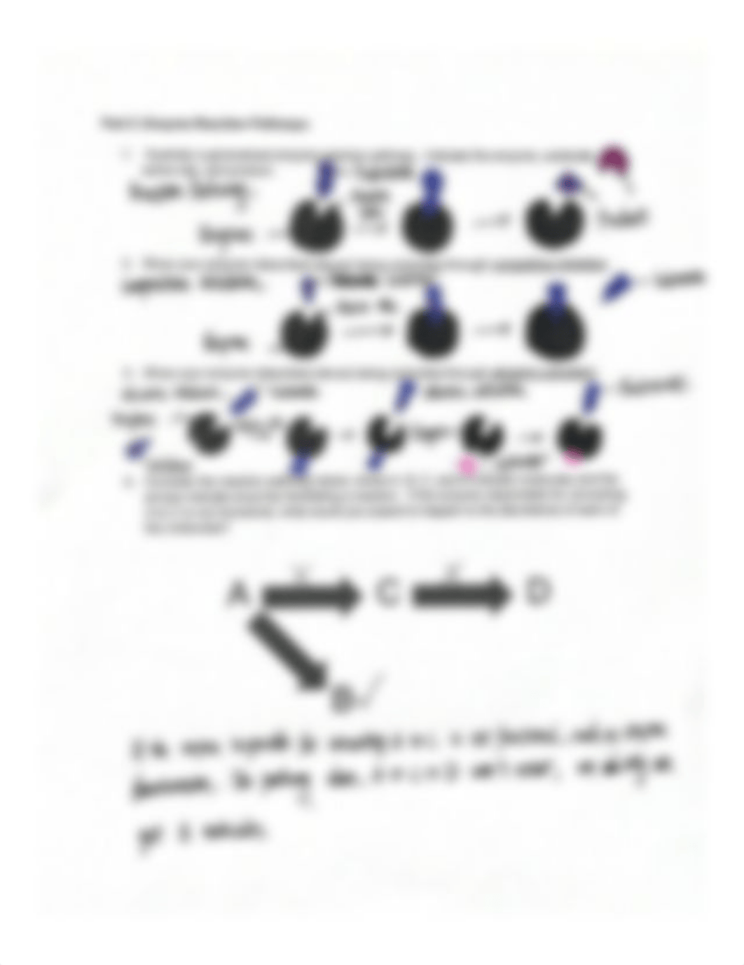 Enzymes and Respiration Problem Set--Ting Yan.pdf_dk0ya2xvq9b_page2