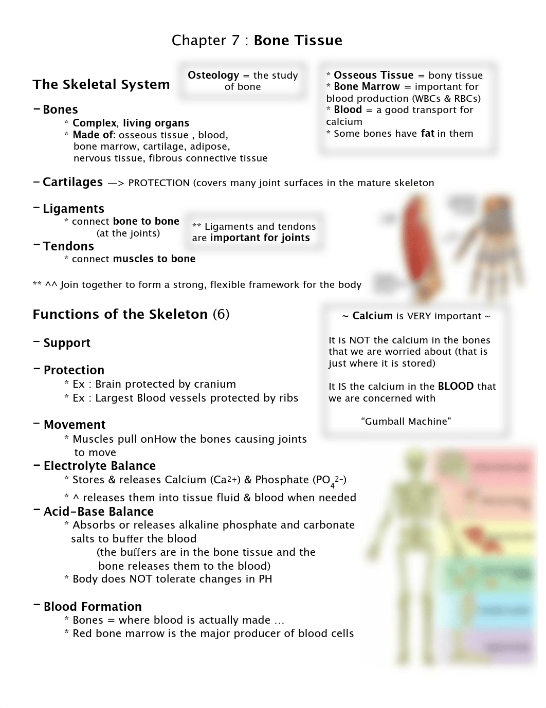 A&P - Chapter 7 - Bone Tissue .pdf_dk12dkt5prx_page1