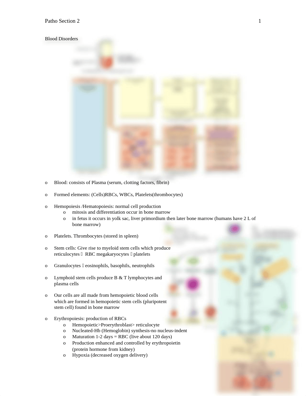 Patho Exam #2.doc_dk134sz9eaz_page1