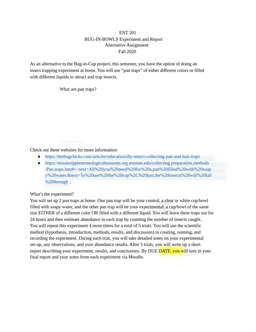 ENT 201 Bug in Bowl Experiment (1).pdf_dk13bsb4pi5_page1