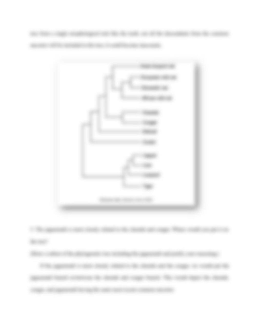 BIO PHYLOGENY.pdf_dk15ajls8bq_page4