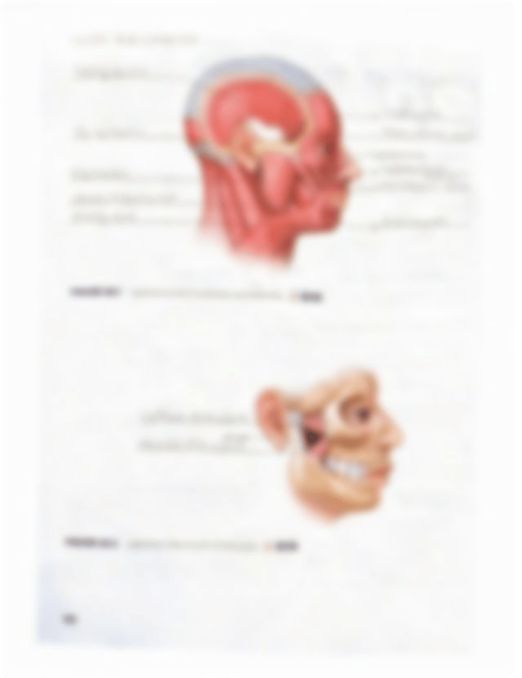 Lab Reports 19-23.pdf_dk18amqwfar_page3