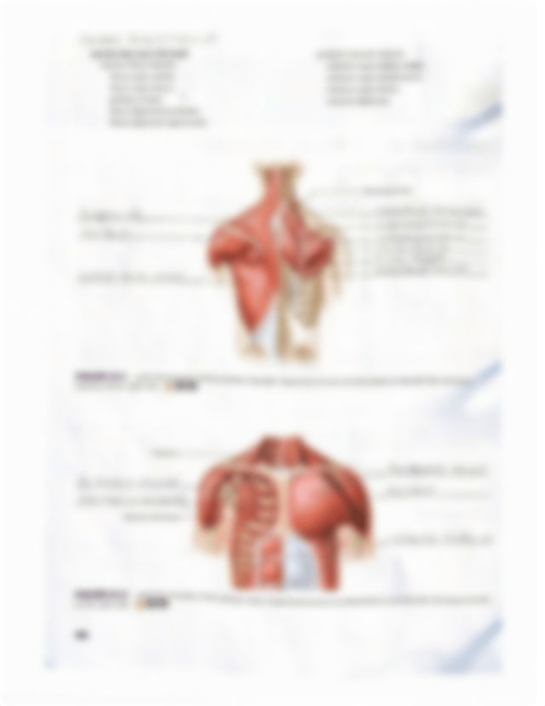 Lab Reports 19-23.pdf_dk18amqwfar_page5