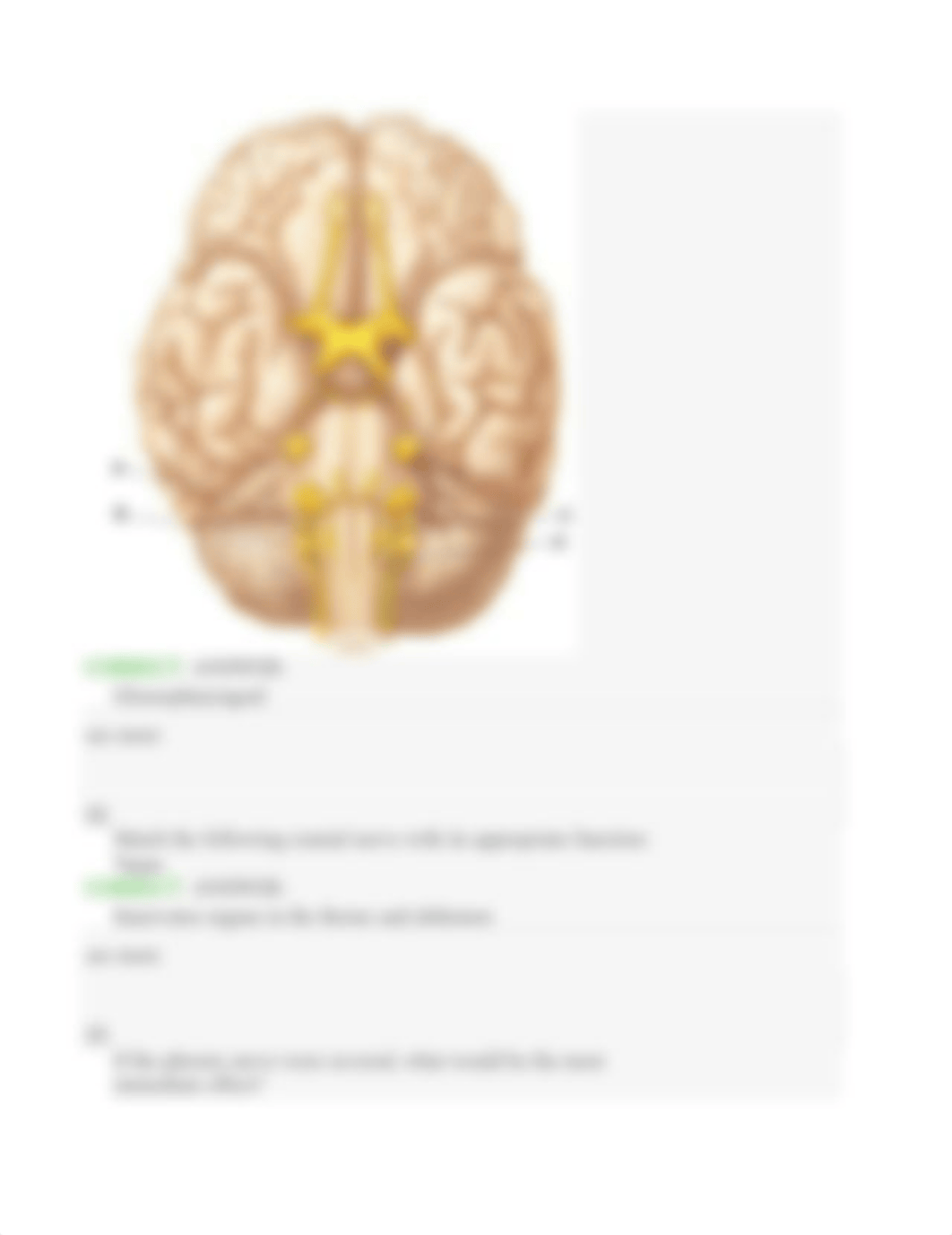 Ch. 13 Module 3 Sections 13.04-13.05 Dynamic Study Module.docx_dk19eq0qgqm_page5