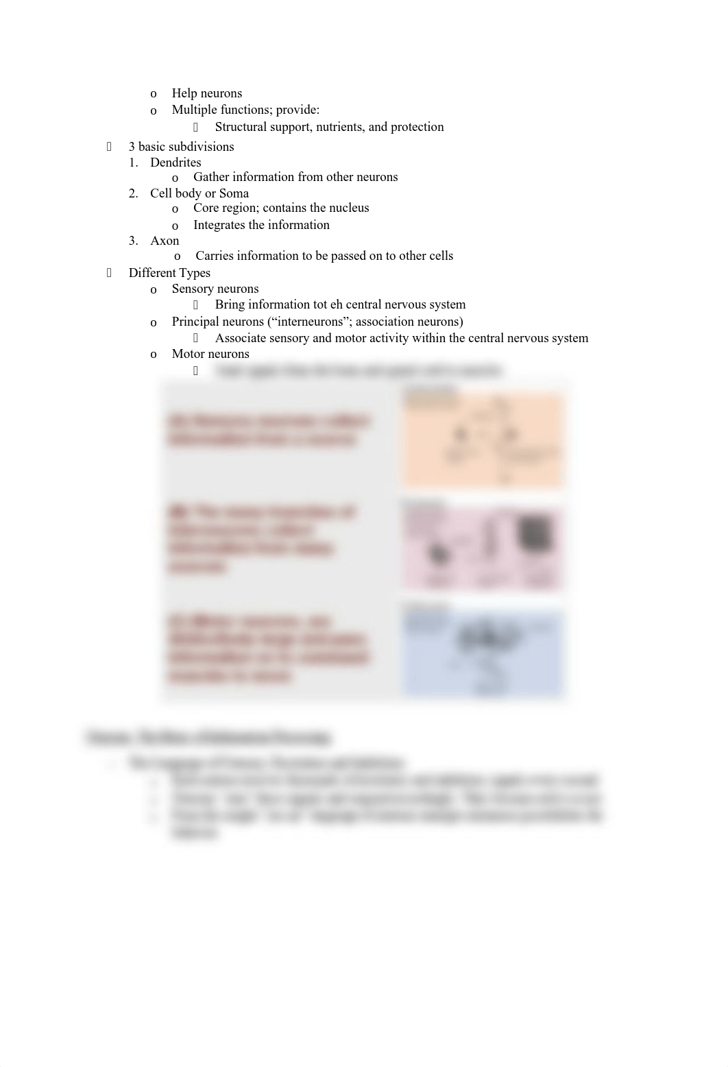 Lecture 3- Functional Units of the Central Nervous System.pdf_dk1haqigpfv_page2