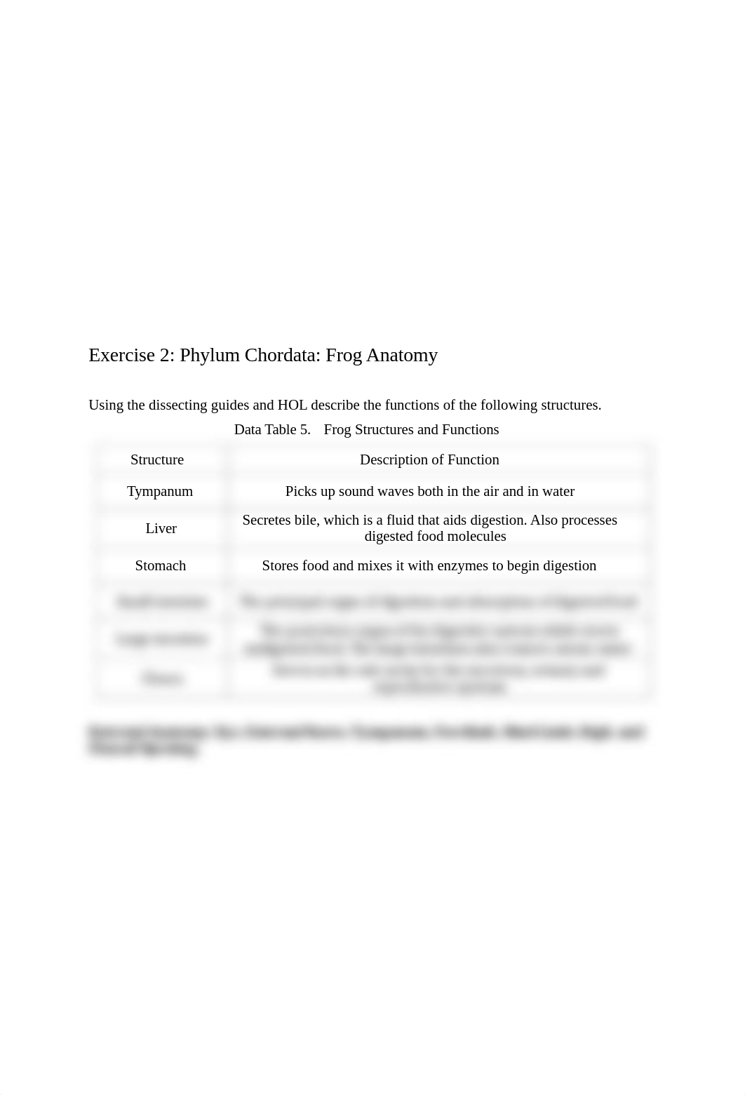 Worksheet 13 - Deuterostomes.docx_dk1q6tffg8d_page3