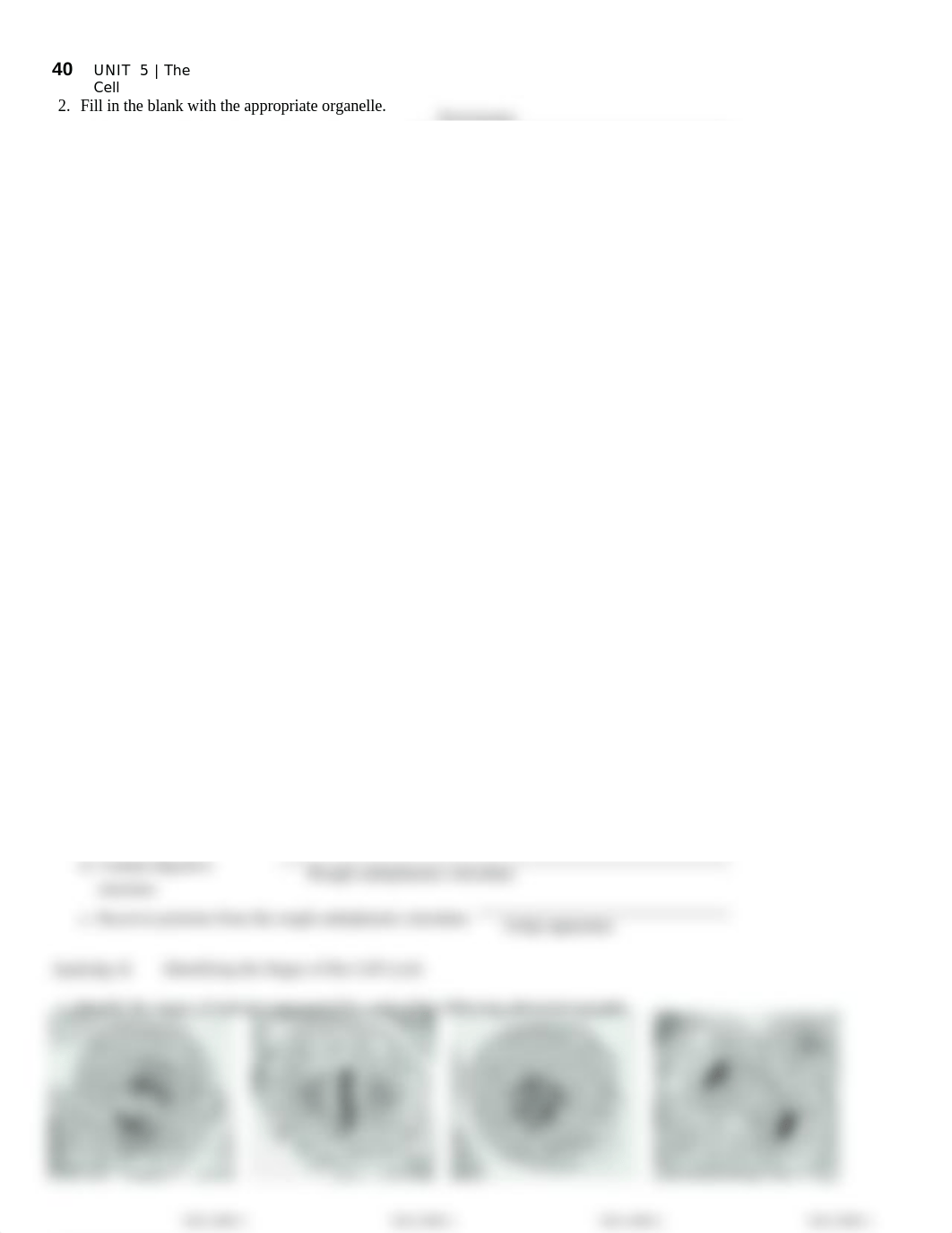 2. Unit 2 laboratory exercise 5 (2) (1)_dk20dsxqvnn_page2