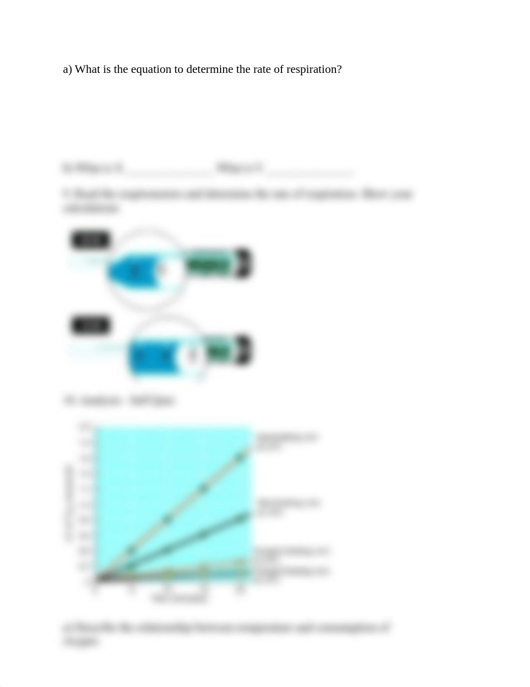 Cellular Respiration Respirometer Virtual Lab.docx_dk21uemqydq_page2