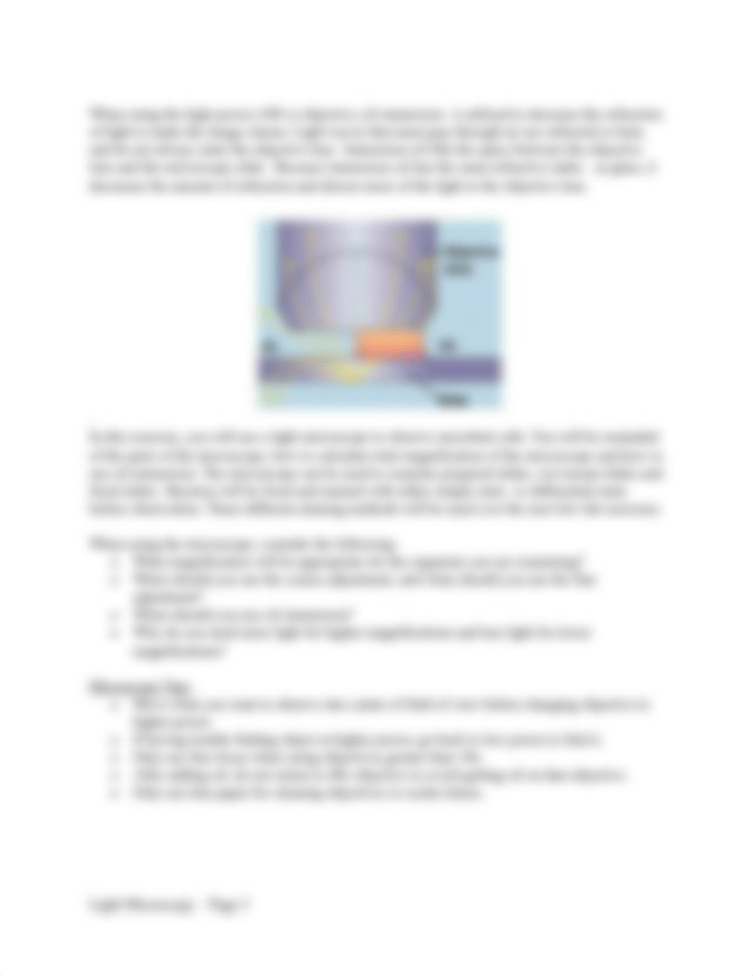 Lab Exercise 2 - Light Microscopy.docx_dk263qtmg7p_page3