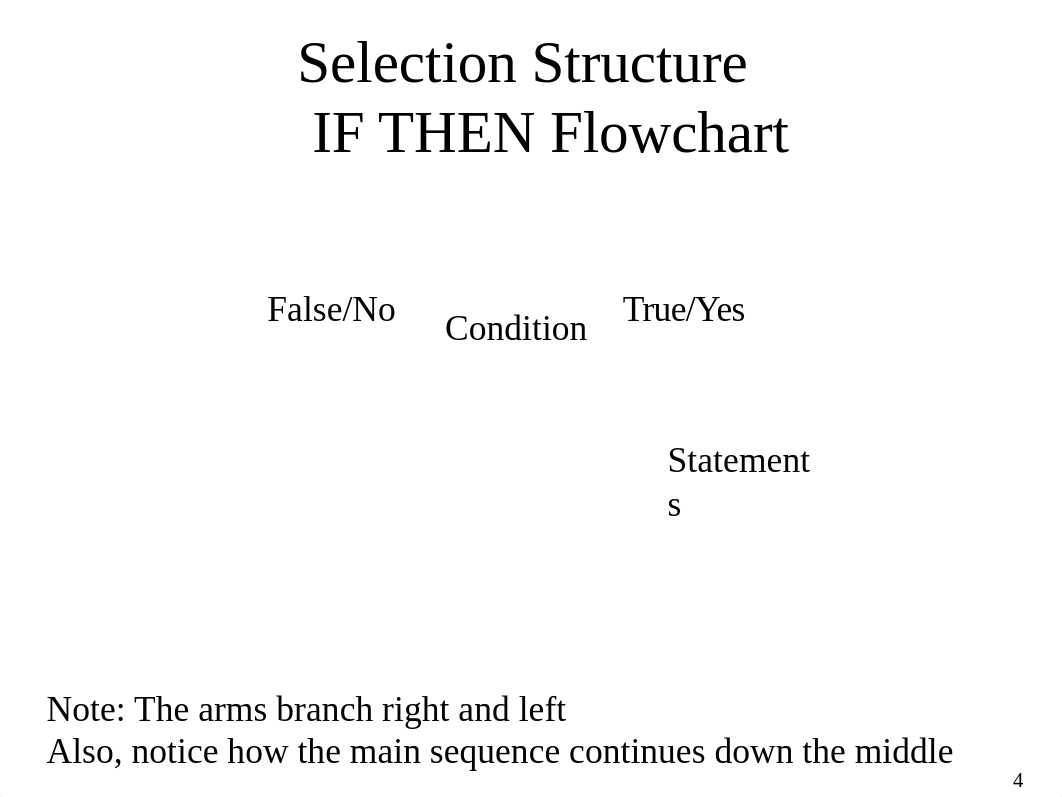 SelectionStructures_dk2c46x61dr_page4