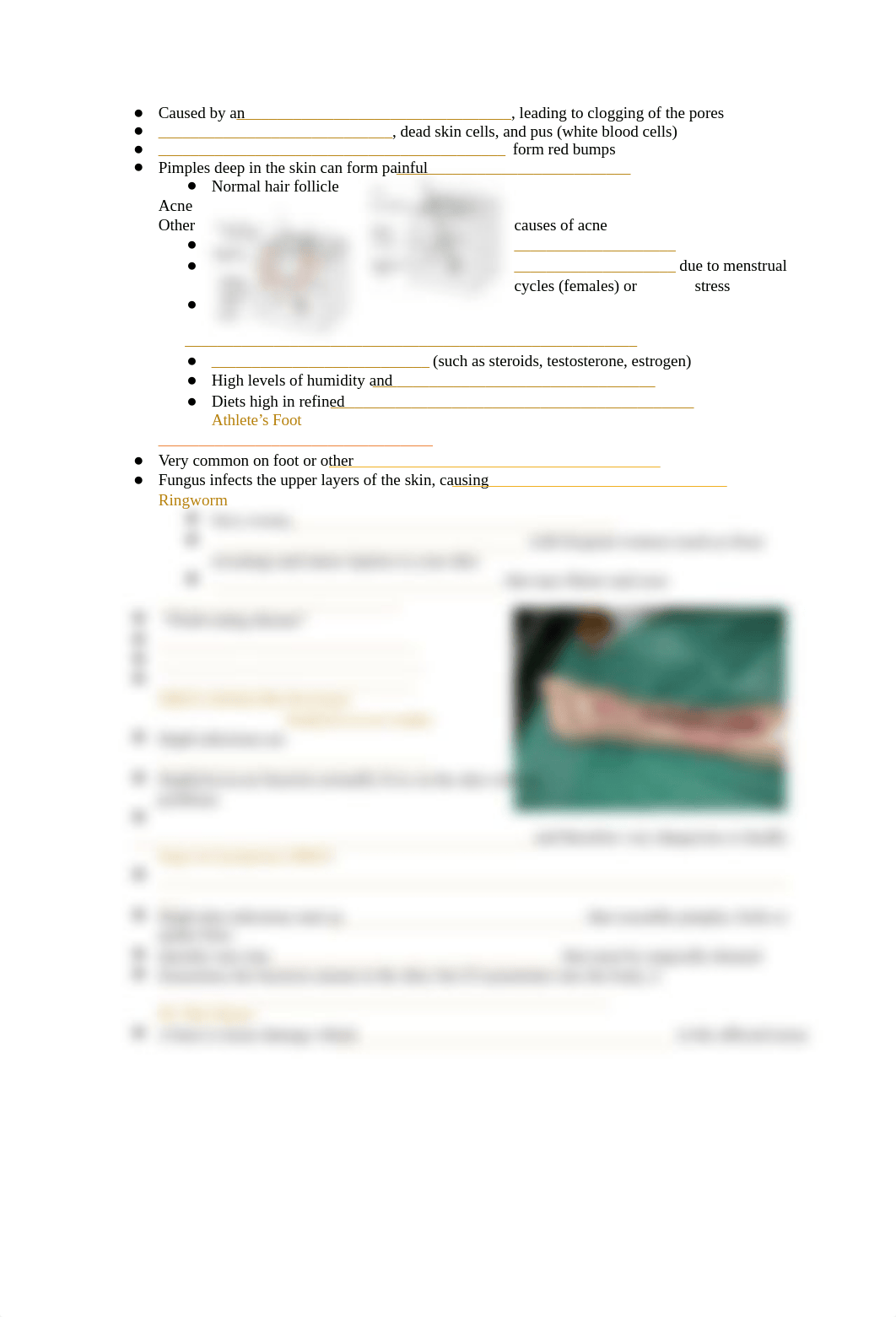 Integumentary_System_pt2_fill-in_dk2cdmkyis4_page2