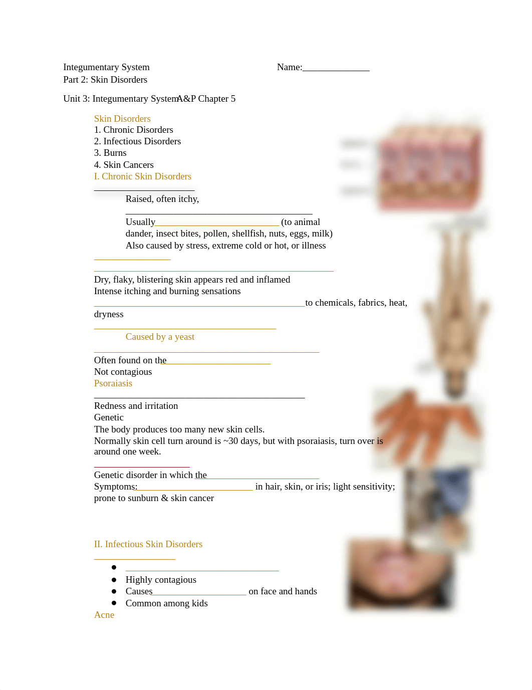 Integumentary_System_pt2_fill-in_dk2cdmkyis4_page1